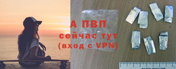 индика Красноперекопск