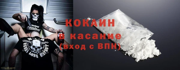 индика Красноперекопск