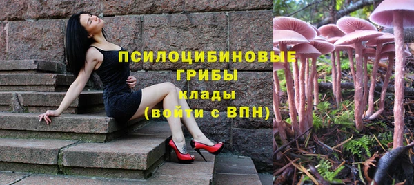 экстази Краснослободск
