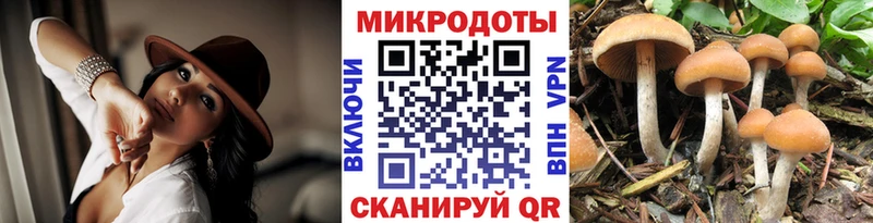 Галлюциногенные грибы мицелий  купить наркотики цена  omg tor  Чегем 